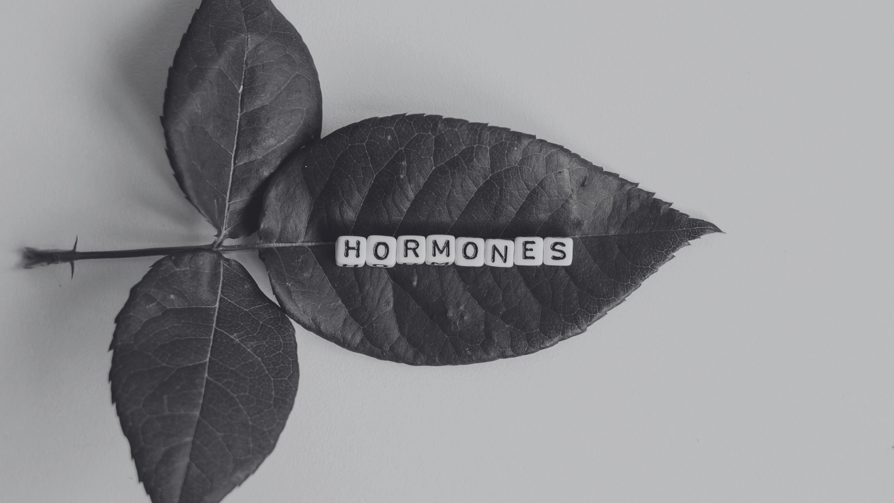Post-menopauzale vrouw die als grotvrouw haar stam leidt